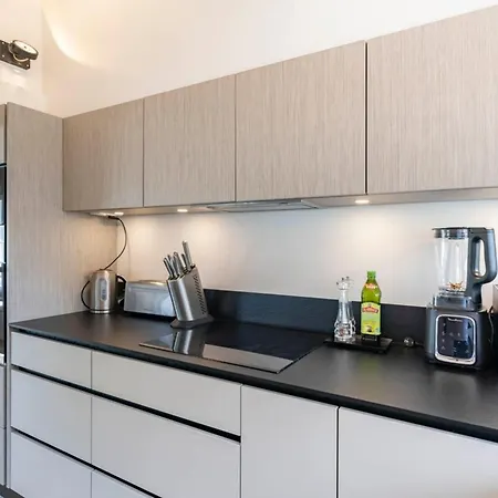 Magnificent Duplex Close To Carlton Lejlighed Cannes